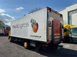 MAN TGM 15.290 Kühlkoffer  SUPRA 750Nordic Voll Luft