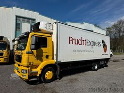 MAN TGM 15.290 Kühlkoffer  SUPRA 750Nordic Voll Luft