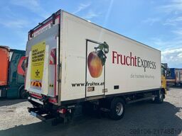 MAN TGM 15.290 Kühlkoffer  SUPRA 750Nordic Voll Luft