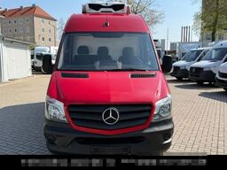 MERCEDES-BENZ Sprinter 316 CDi Kühlkasten Zanotti Tiefkühlung