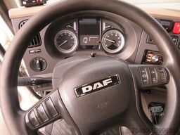 DAF LF 210 FA