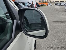Volkswagen T6.1