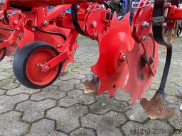 MASCHIO HS 6-reinig 5m