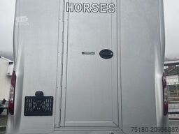 RENAULT Master JL Mini 2 Pferdetransporter Alu 3,5t.