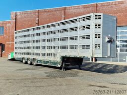 Pezzaioli 5 deck livestock trailer - Water & Ventilation ...