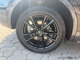 AUDI Q5 50 TDI quattro advanced + Satz Felgen