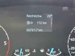 FORD Transit Kasten Allrad 4x4350 L3 6 Sitzer/Werkst.