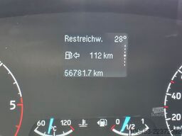 FORD Transit Kasten Allrad 4x4350 L3 6 Sitzer/Werkst.