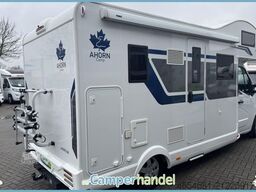 AHORN Camp ACA 640 1.HAND#FACE2FACE#ALKOVEN#SOLAR#AHK