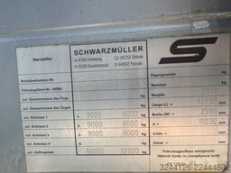 SCHWARZMÜLLER Baustoff-Pritsche+KennisKran/Rollkran+MotorZange