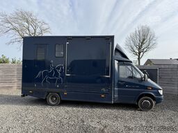 Mercedes-Benz Sprinter PAARDENWAGEN | HORSETRUCK | ROELOFSEN ...