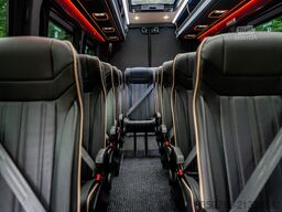 Mercedes-Benz Sprinter 519 Special 16+1 + 2 Rollstühle