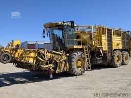 Ropa TIGER V8-3 beet harvester / 6000 MTH