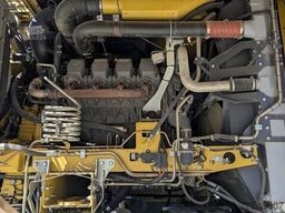 Ropa TIGER V8-3 beet harvester / 6000 MTH