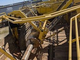 Ropa TIGER V8-3 beet harvester / 6000 MTH