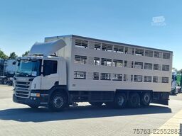 Scania P400 8x4*4 - 2/3 deck livestock Guiton 29.78M2 ...