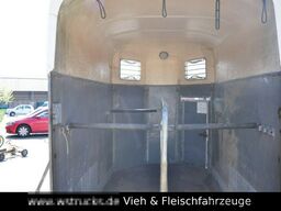 2 Pferde Holz Poly