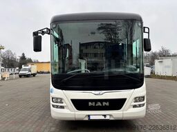 Man Lion's Regio