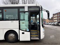 Man Lion's Regio