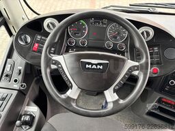 Man Lion's Regio