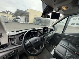 Ford Transit 1-2 Pferde Hengsttrennung