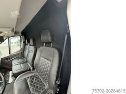 Ford Transit 1-2 Pferde Hengsttrennung