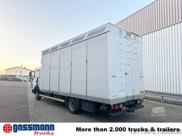 Mercedes-Benz LK 817 4x2, Taubentransporter