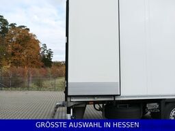 SCHMITZ CARGOBULL Doppelstock Blumenbreite ¤ 689 e