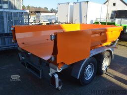 Muldy 3500 Pick Up Abrollkipper 2m³19