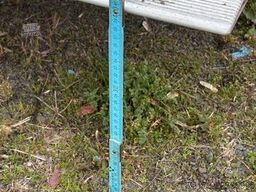 UNSINN FZ-TECHNIK UA 2615-14-13 Absenkanhänger 100 KMH