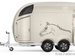 Blt Transport Blt Transport Blt Transport