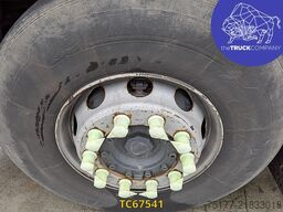 Scania P 450