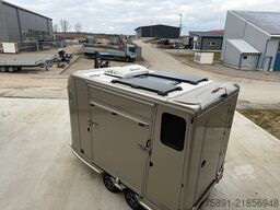 Dickenherr 2 Rampen 2er Hengst Klima Solar