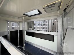 Dickenherr 2 Rampen 2er Hengst Klima Solar