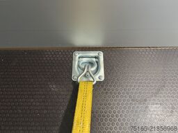 Nugent BX3717S-GRY-DD Kofferanhänger
