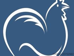 MERCEDES-BENZ Sprinter III Pritsche RWD/AWD 311/315/317/319 CD