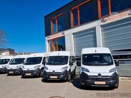 FIAT 3x Ducato 2x  Opel Movano 18 SS  in Stock