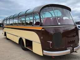 SETRA Kässbohrer Setra S 11