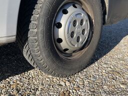 Fiat Weinsberg Carabus 600 K | 4 Posti Letto | Completamente Attrezzato