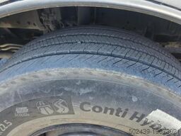 MAN TGX 33.560