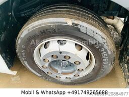 IVECO SWay 460 AS BDF LNG*Retarder/Lenk+Lift/LBW/Multi