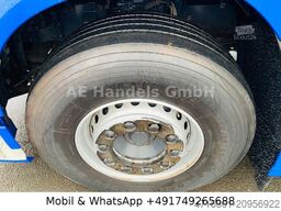 DAF XF 480 SSC BL *Retarder/2-Kreis-Hydr./Standklima