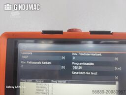 Anhänger Braune Anhänger Braune Anhänger Braune