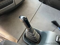 MAN TGL 12.220 4X2 BL TGL 12.220 4X2 BL mit Dhollandia LBW