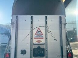 BÖCKMANN Big Champion R 2 Pferdeanhänger Alu 1.Hnd TOP