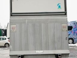 VOLKSWAGEN CRAFTER / KONTENER / WINDA DHOLLANDIA / 2019 RO