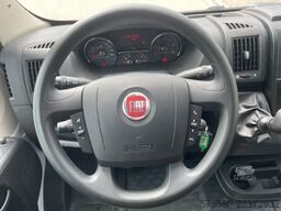 FIAT (2020) Weinsberg CaraSuite 650MF