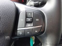 FORD Transit Kasten 350 L3H2 Trend 130PS HA Express