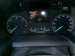 FORD Nugget 185PS Autm. Aufstelldach Markise AHK Xeno