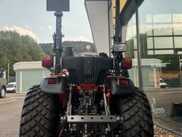  TAFE 6028 H Traktor Frontlader Radgewichte NEU